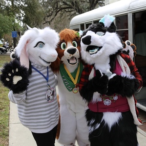 Team Page: Florida Furries